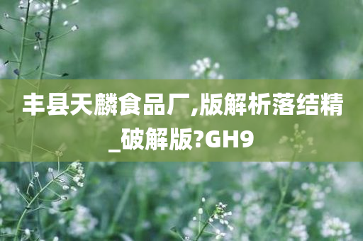 丰县天麟食品厂,版解析落结精_破解版?GH9