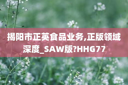 揭阳市正英食品业务,正版领域深度_SAW版?HHG77