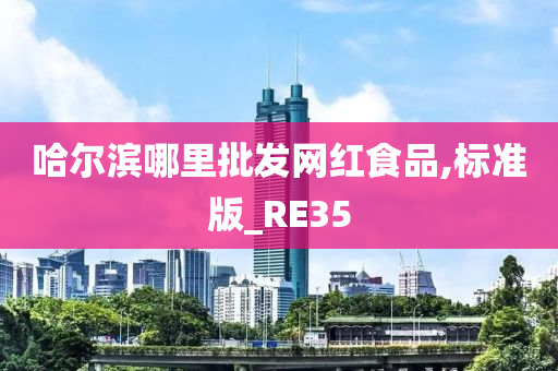 哈尔滨哪里批发网红食品,标准版_RE35