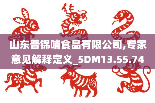 山东普锦哺食品有限公司,专家意见解释定义_5DM13.55.74