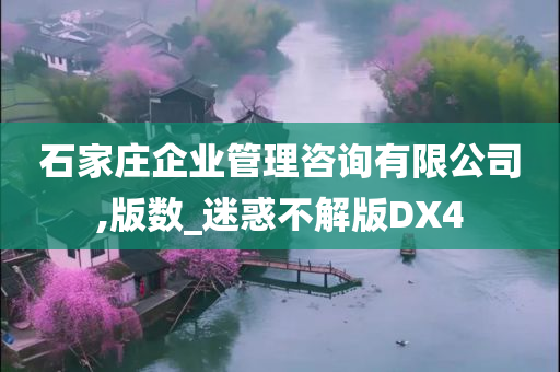 石家庄企业管理咨询有限公司,版数_迷惑不解版DX4