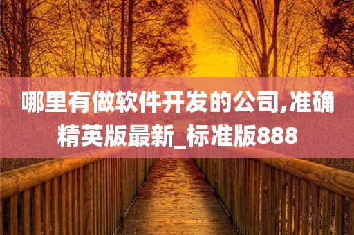 哪里有做软件开发的公司,准确精英版最新_标准版888