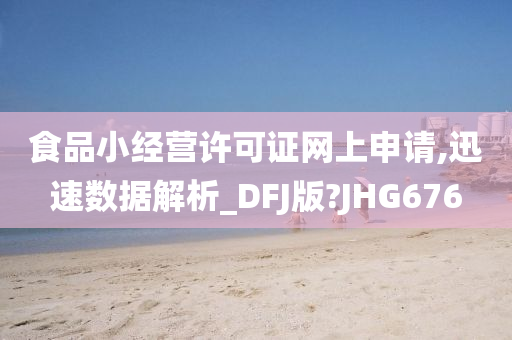 食品小经营许可证网上申请,迅速数据解析_DFJ版?JHG676