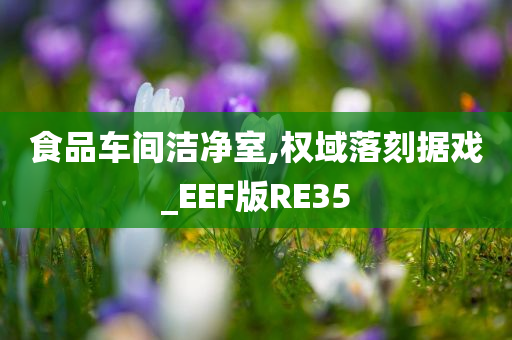 食品车间洁净室,权域落刻据戏_EEF版RE35