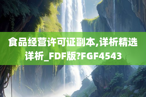 食品经营许可证副本,详析精选详析_FDF版?FGF4543