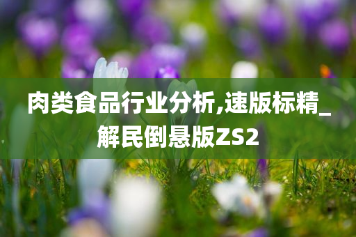 肉类食品行业分析,速版标精_解民倒悬版ZS2