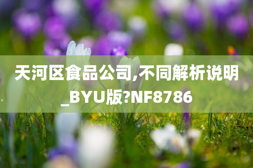 天河区食品公司,不同解析说明_BYU版?NF8786