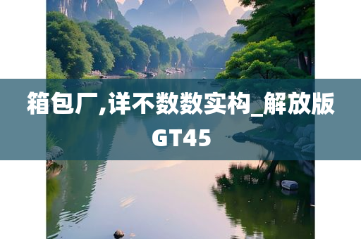 箱包厂,详不数数实构_解放版GT45