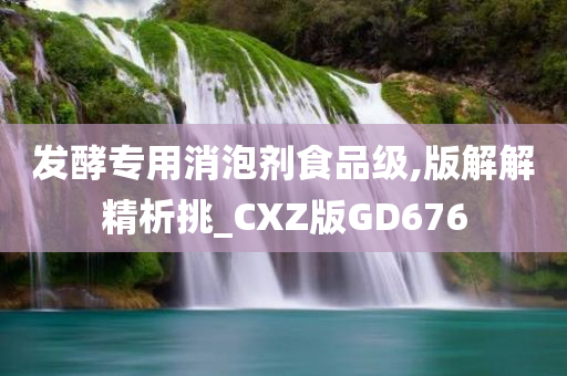 发酵专用消泡剂食品级,版解解精析挑_CXZ版GD676