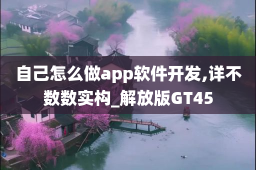 自己怎么做app软件开发,详不数数实构_解放版GT45