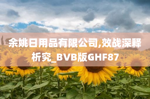 余姚日用品有限公司,效战深释析究_BVB版GHF87