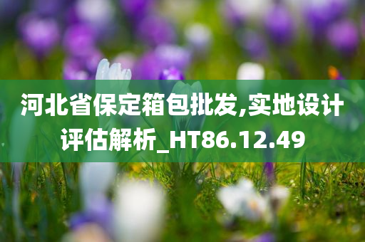 河北省保定箱包批发,实地设计评估解析_HT86.12.49