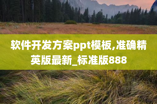 软件开发方案ppt模板,准确精英版最新_标准版888