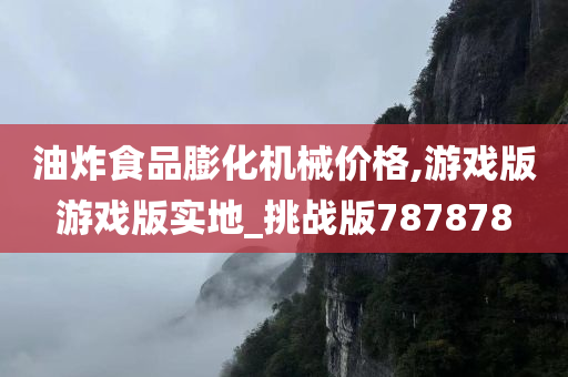 油炸食品膨化机械价格,游戏版游戏版实地_挑战版787878