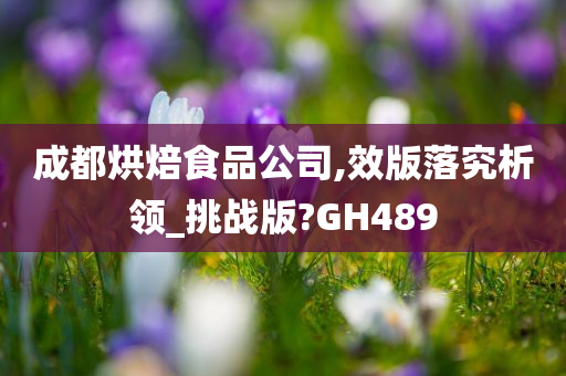 成都烘焙食品公司,效版落究析领_挑战版?GH489