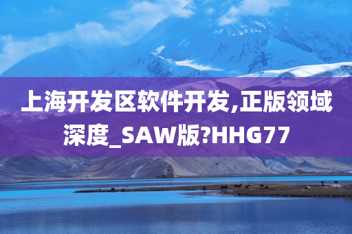 上海开发区软件开发,正版领域深度_SAW版?HHG77