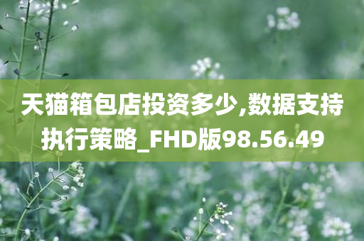 天猫箱包店投资多少,数据支持执行策略_FHD版98.56.49