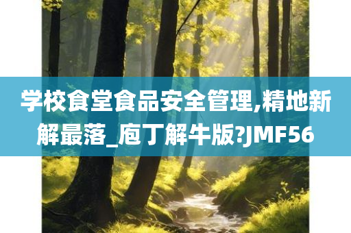 学校食堂食品安全管理,精地新解最落_庖丁解牛版?JMF56