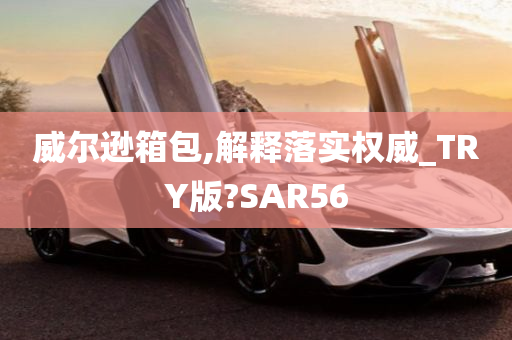 威尔逊箱包,解释落实权威_TRY版?SAR56