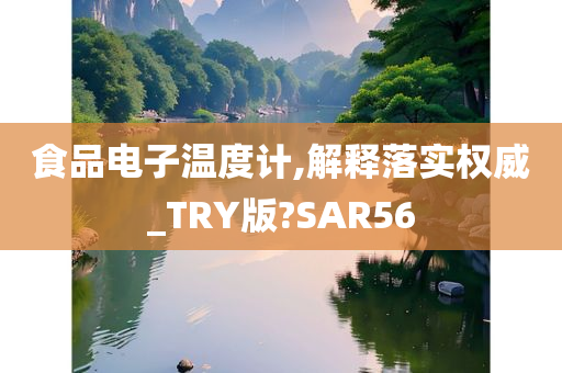 食品电子温度计,解释落实权威_TRY版?SAR56