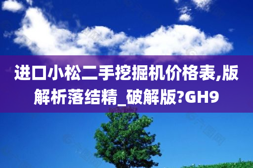 进口小松二手挖掘机价格表,版解析落结精_破解版?GH9