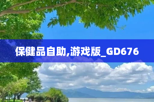 保健品自助,游戏版_GD676