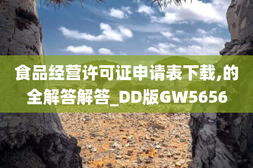 食品经营许可证申请表下载,的全解答解答_DD版GW5656