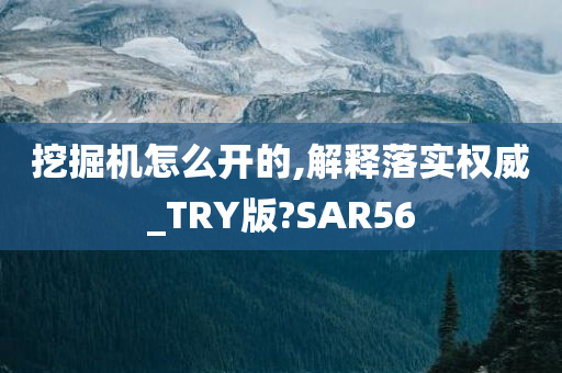 挖掘机怎么开的,解释落实权威_TRY版?SAR56