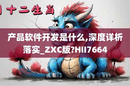 产品软件开发是什么,深度详析落实_ZXC版?HII7664