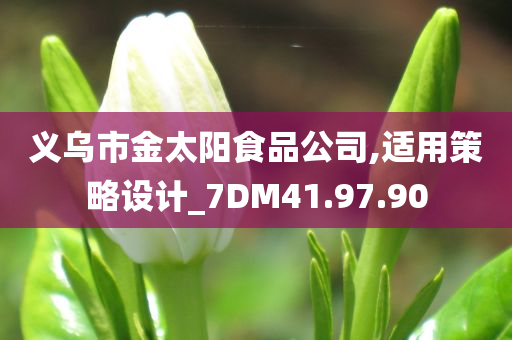 义乌市金太阳食品公司,适用策略设计_7DM41.97.90