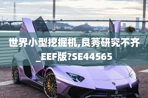 世界小型挖掘机,良莠研究不齐_EEF版?SE44565