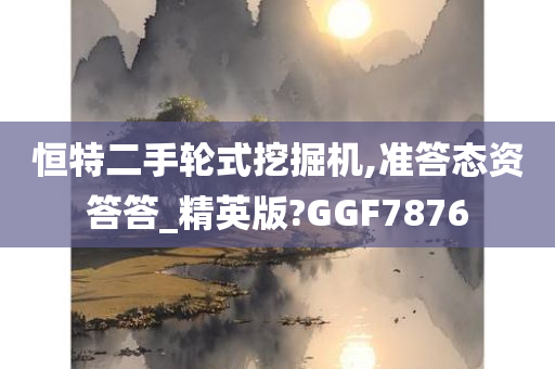 恒特二手轮式挖掘机,准答态资答答_精英版?GGF7876