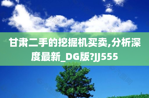 甘肃二手的挖掘机买卖,分析深度最新_DG版?JJ555