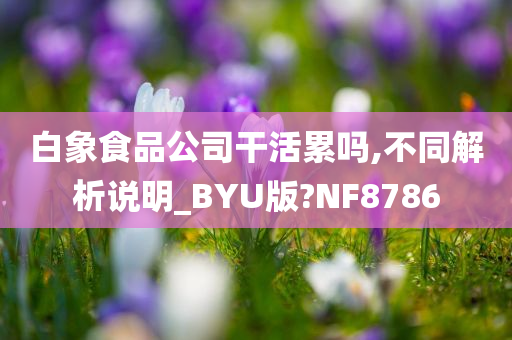 白象食品公司干活累吗,不同解析说明_BYU版?NF8786