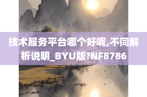 技术服务平台哪个好呢,不同解析说明_BYU版?NF8786