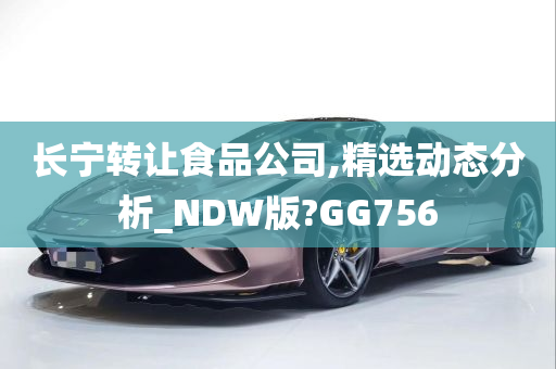 长宁转让食品公司,精选动态分析_NDW版?GG756