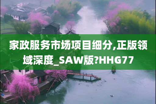 家政服务市场项目细分,正版领域深度_SAW版?HHG77