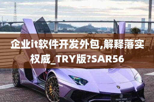 企业it软件开发外包,解释落实权威_TRY版?SAR56