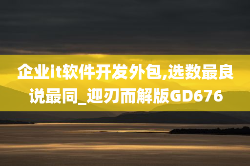 企业it软件开发外包,选数最良说最同_迎刃而解版GD676