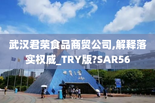 武汉君荣食品商贸公司,解释落实权威_TRY版?SAR56