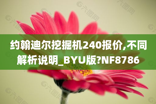 约翰迪尔挖掘机240报价,不同解析说明_BYU版?NF8786