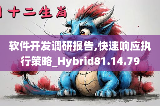 软件开发调研报告,快速响应执行策略_Hybrid81.14.79