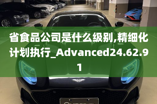 省食品公司是什么级别,精细化计划执行_Advanced24.62.91