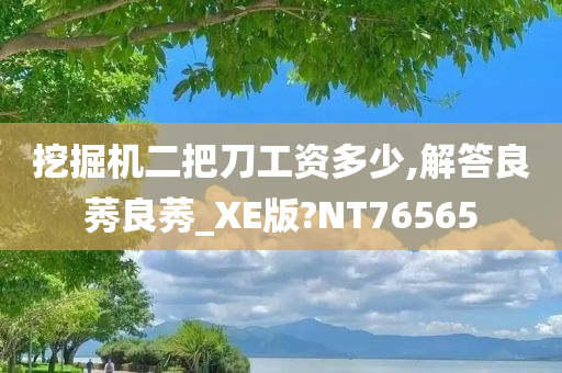 挖掘机二把刀工资多少,解答良莠良莠_XE版?NT76565