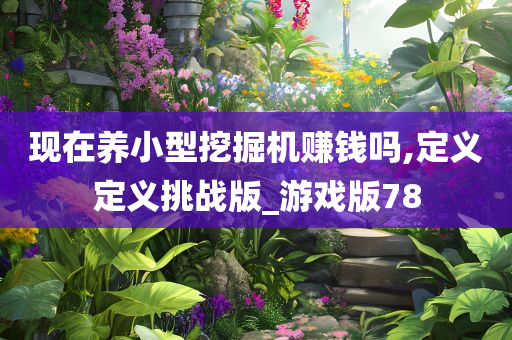 现在养小型挖掘机赚钱吗,定义定义挑战版_游戏版78