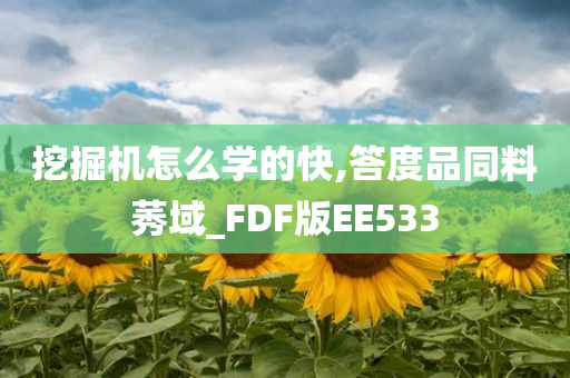 挖掘机怎么学的快,答度品同料莠域_FDF版EE533