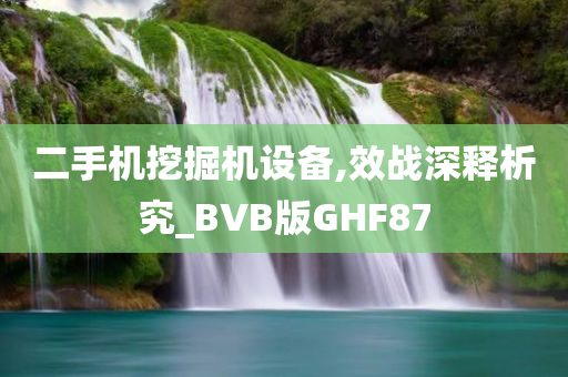 二手机挖掘机设备,效战深释析究_BVB版GHF87