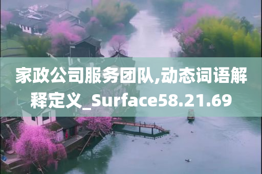 家政公司服务团队,动态词语解释定义_Surface58.21.69