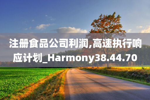 注册食品公司利润,高速执行响应计划_Harmony38.44.70