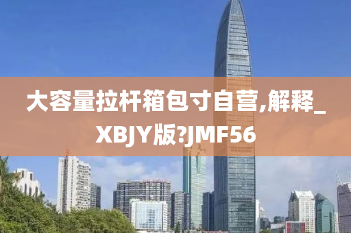 大容量拉杆箱包寸自营,解释_XBJY版?JMF56